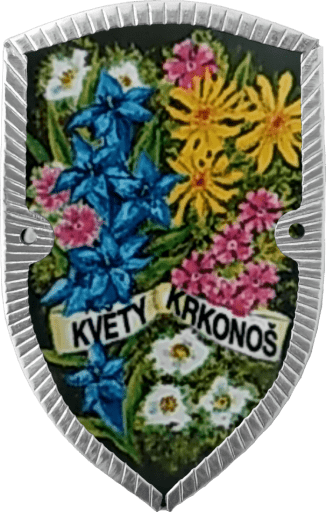 Květy Krkonoš